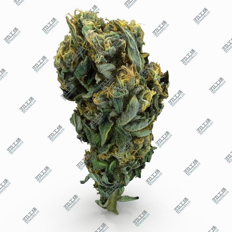 images/goods_img/2021040233/Cannabis Bud 04 model/3.jpg